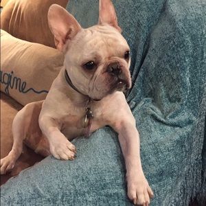 Meet your Posher, Jamie